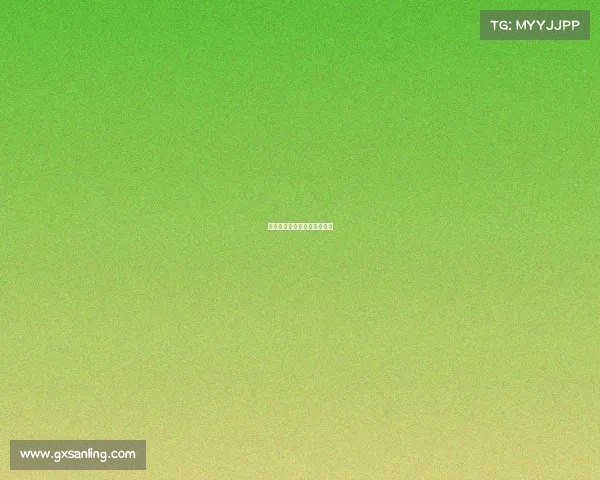 活动赛事承办—赛事活动程序